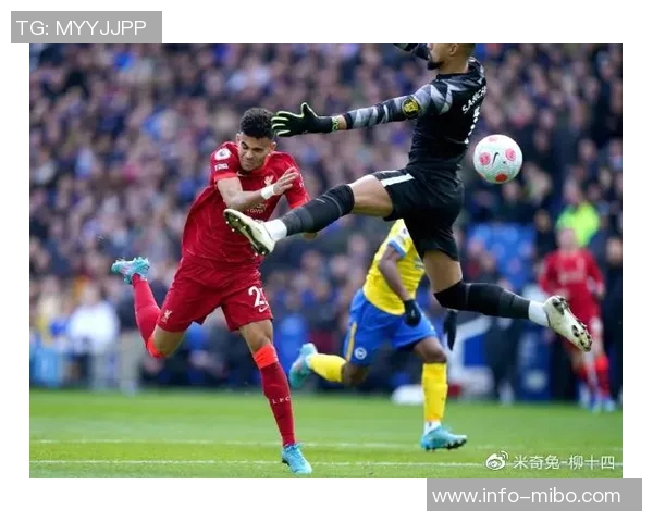 凯尔登盛赞文班在攻防两端的核心作用团队将紧随其后共同进步 凯尔登盛赞文班在攻防两端的核心作用团队将紧随其后共同进步